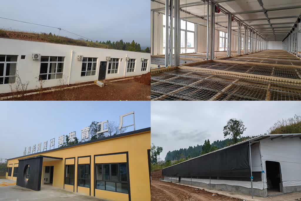 e557e14a194e4b7ebd255dfe47ae3126_b