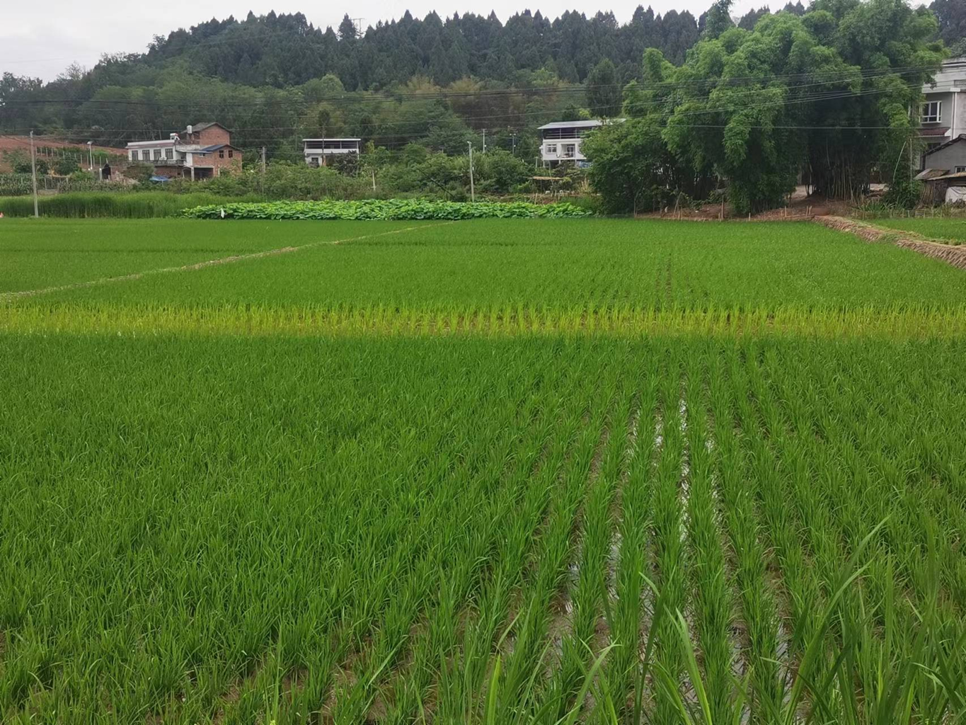 高26edc87b646bd406e97e48dd73e05cc6e_b 高26edc87b646bd406e97e48dd73e05cc6e_b