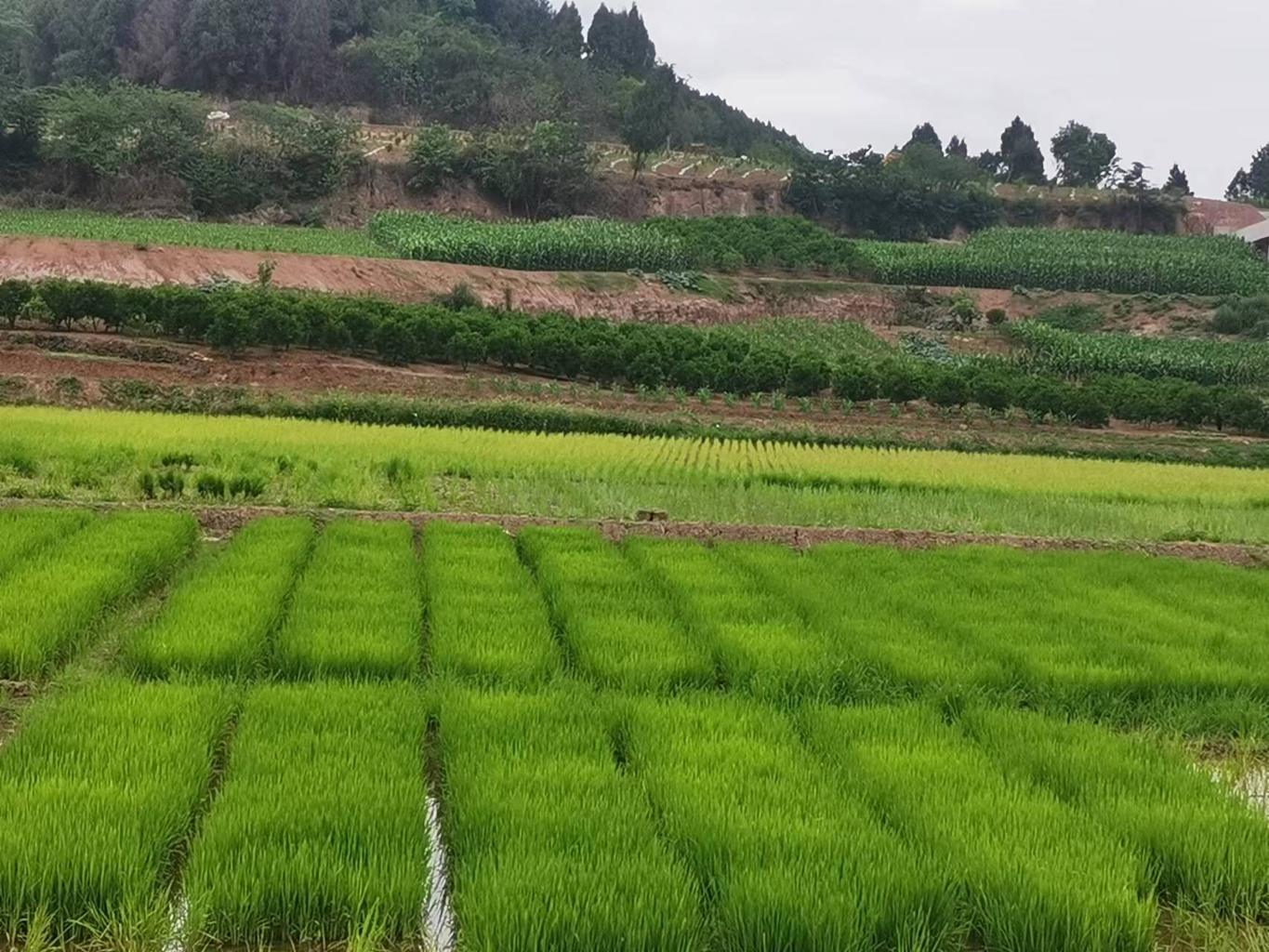 高4c719c4784f694d9b87b78fb5e9723e32_b 高4c719c4784f694d9b87b78fb5e9723e32_b